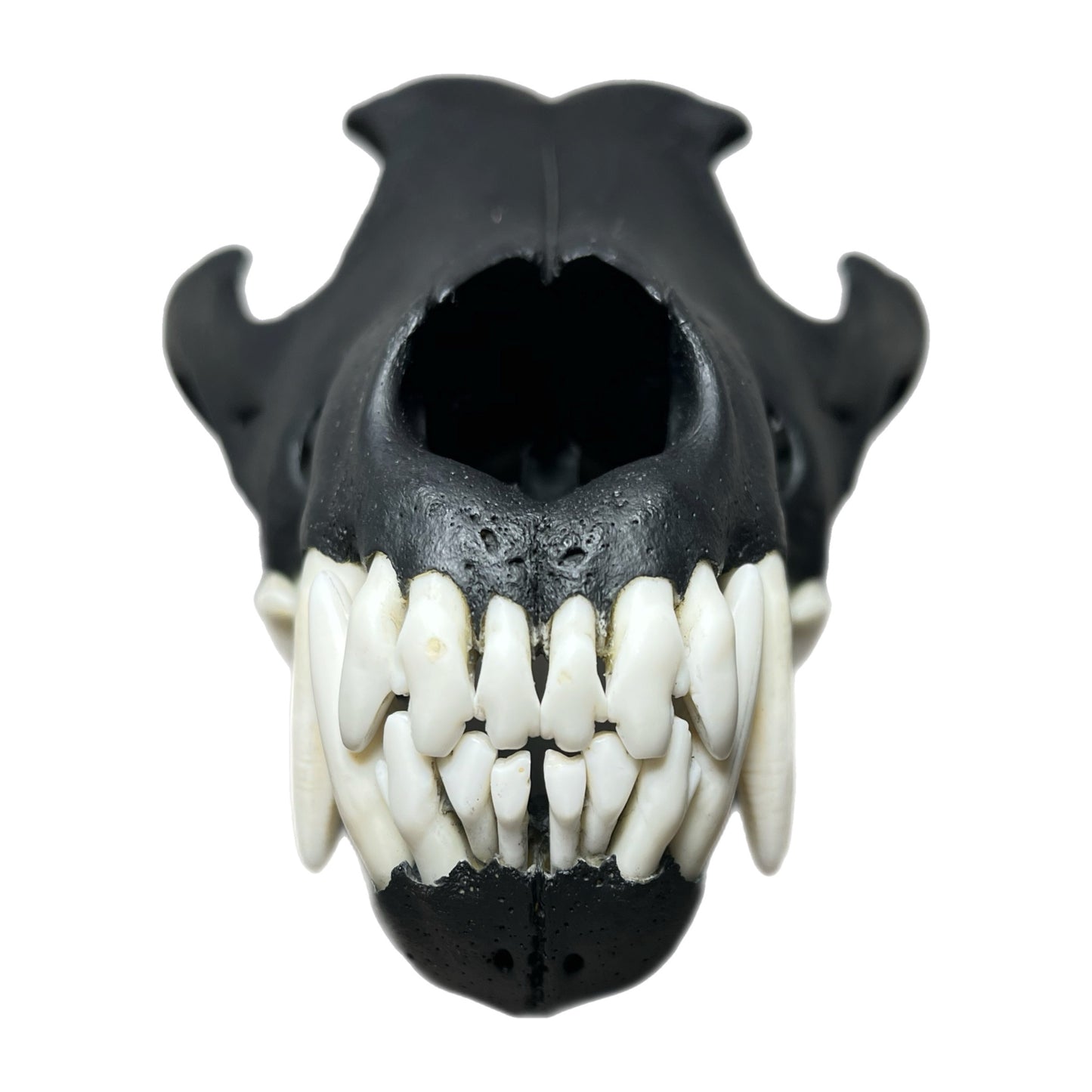 TRIPPIE GLUCK WOLF SCULL
