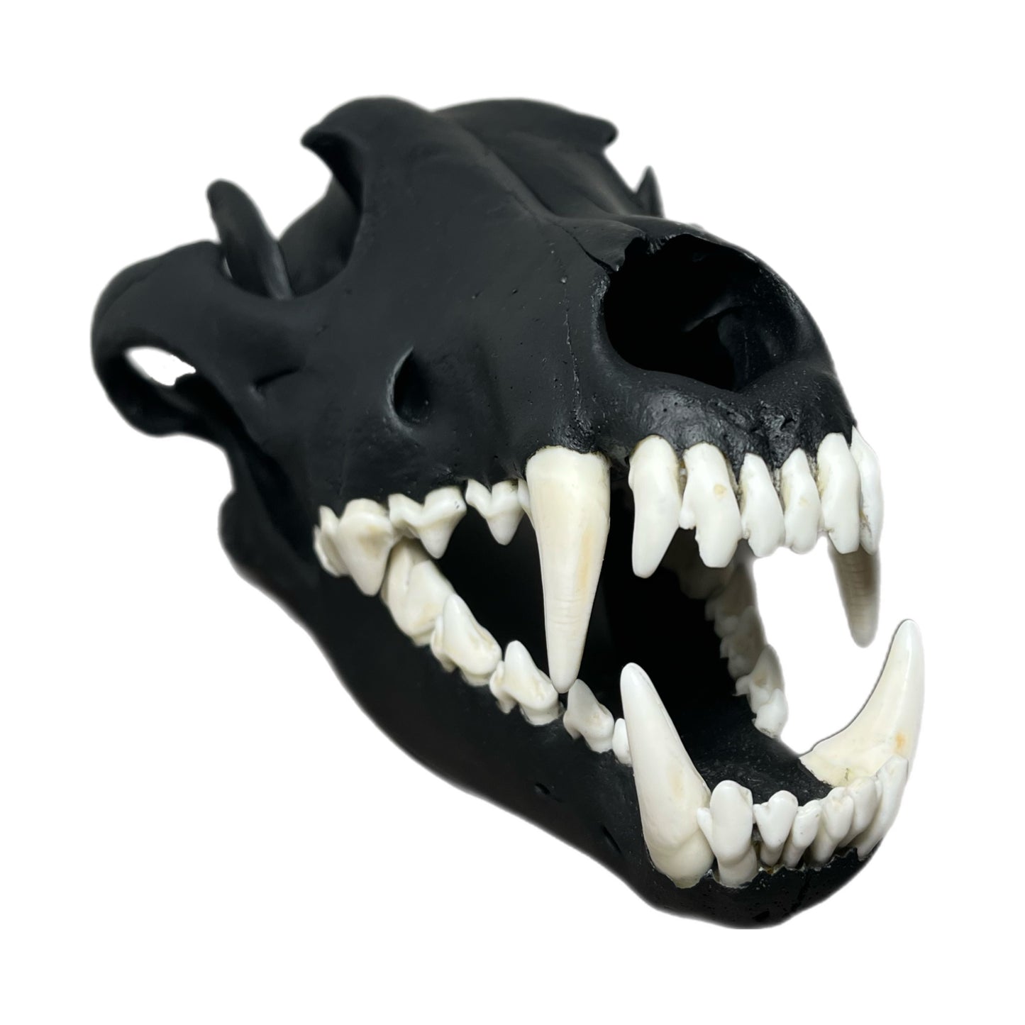 TRIPPIE GLUCK WOLF SCULL